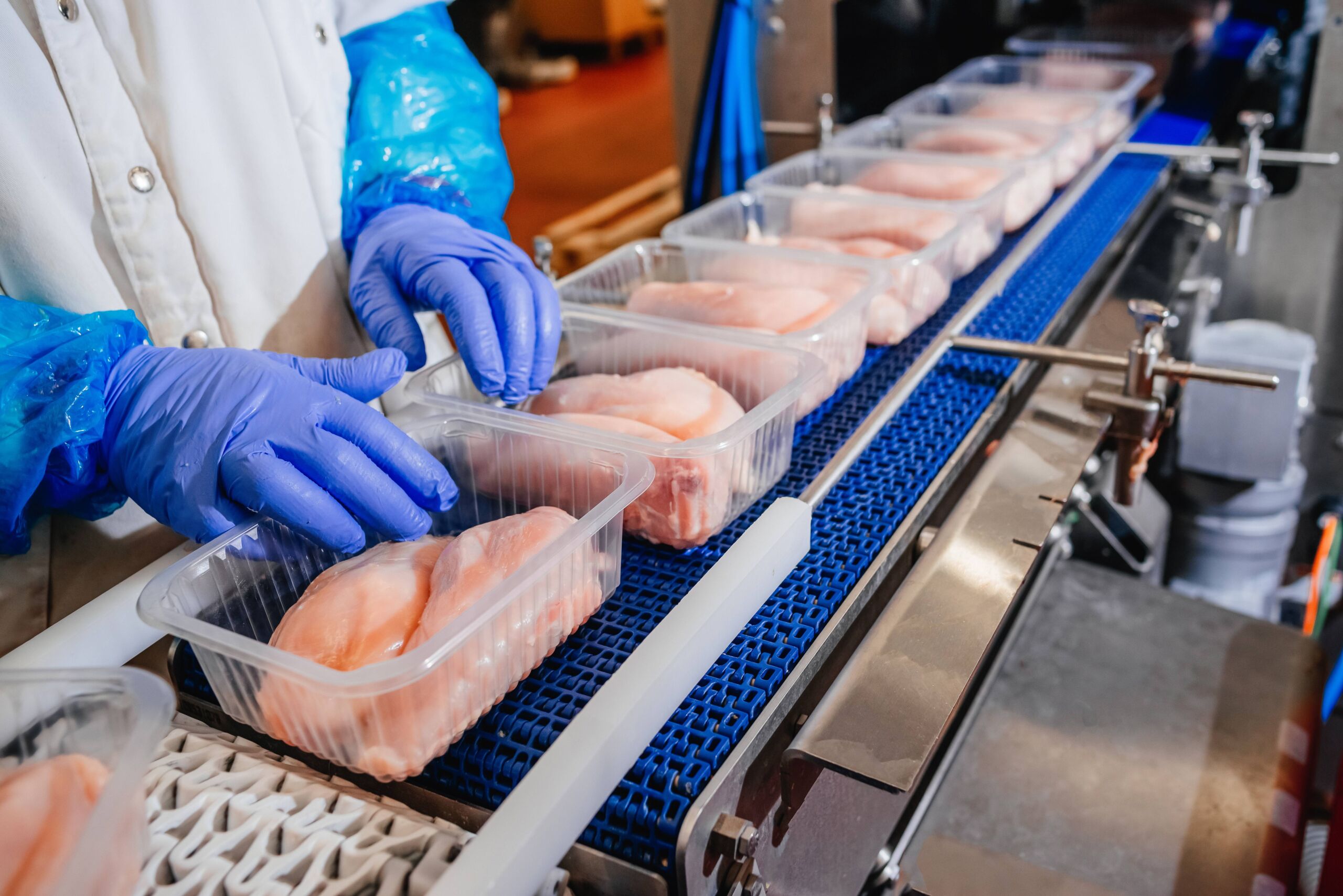 Person wearing blue latex gloves packs raw chicken into plastic containers on a conveyor